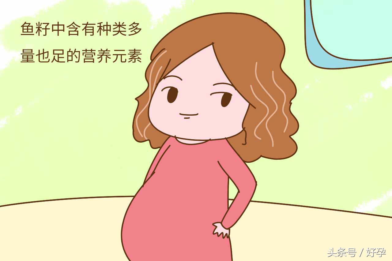 鱼肚里的各种食物,孕妇必备的鱼肚