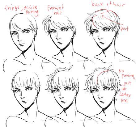 修剪发尖教程,三角梅修剪方法和技巧