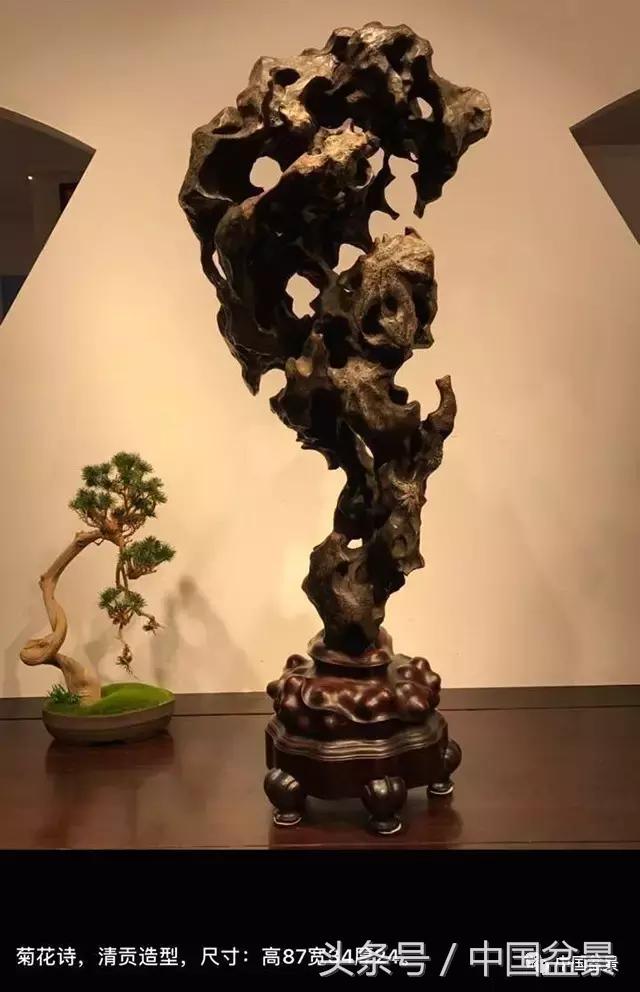 盆景的意境之美,优雅的盆景