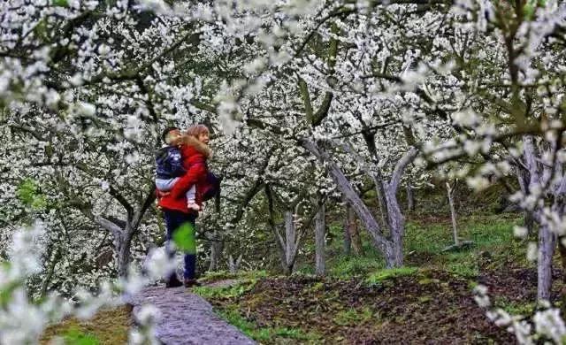 大足石刻详细讲解,大足简短介绍