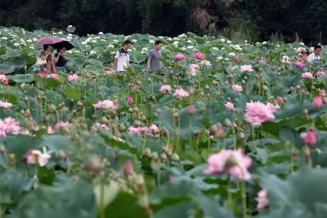 大足石刻详细讲解,大足简短介绍