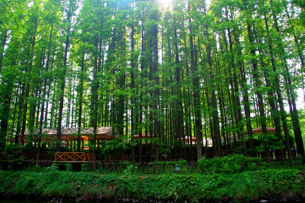 首汽租车带你夏游,夏季租车自驾游