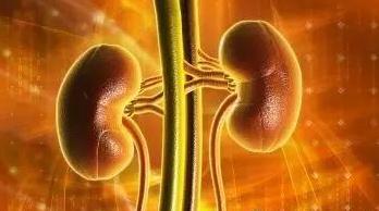 过敏性紫癜的正确治疗方法是什么,中医治疗过敏性紫癜的机理