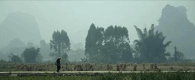 冯小刚吴京爱国电影,吴京舒淇郭富城演的电影