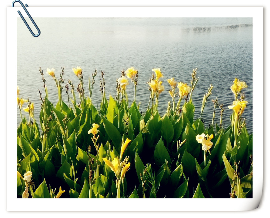 人际关系胸怀格局的经典语录,做人需要做到的人际关系