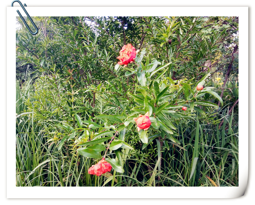 人际关系胸怀格局的经典语录,做人需要做到的人际关系