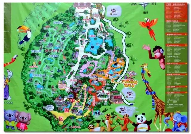 长隆野生动物世界抱考拉,考拉长隆野生动物园