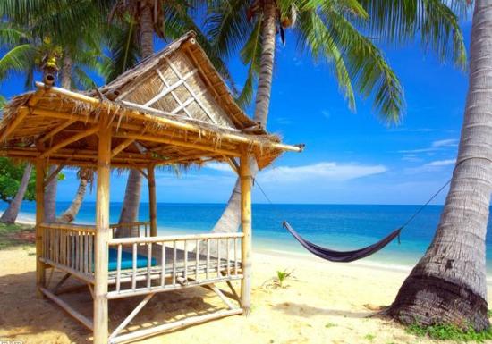 己所不欲勿施于人对这句话的感悟,对己所不欲勿施于人这句话的感受