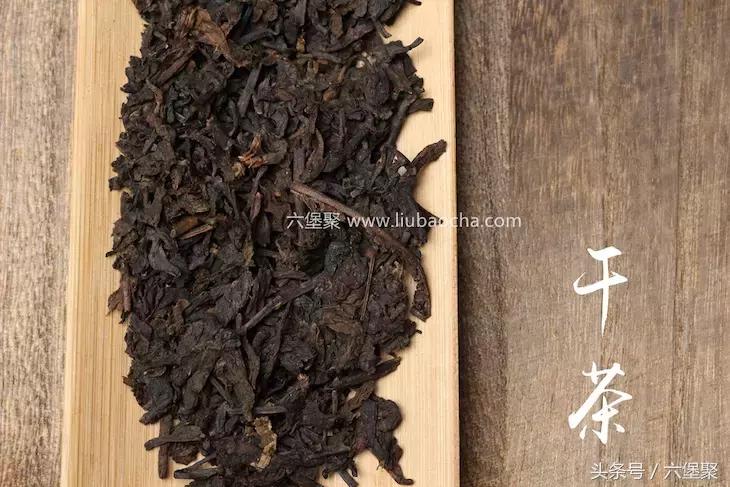 「围观」老茶与你的故事，即将开始