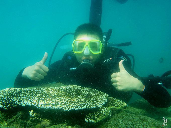 了解三亚自由行攻略,三亚旅游自由行攻略详解