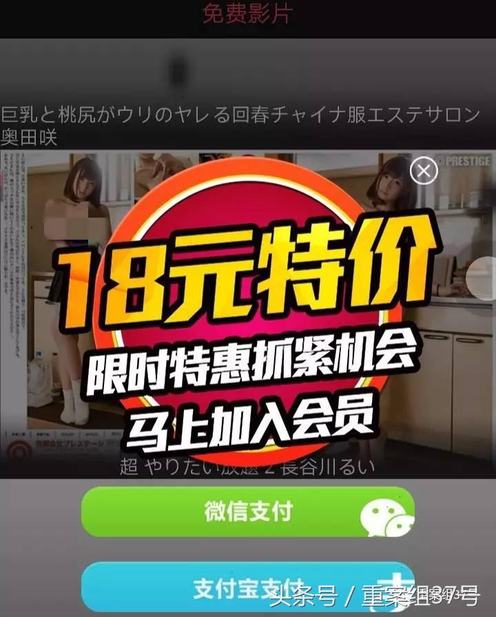 揭秘涉黄APP*局骗**：20秒小电影作幌，骗会员充值日入百万元