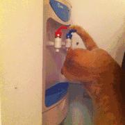 饮水机没水了会起火吗,饮水机没水了还加热会着火吗