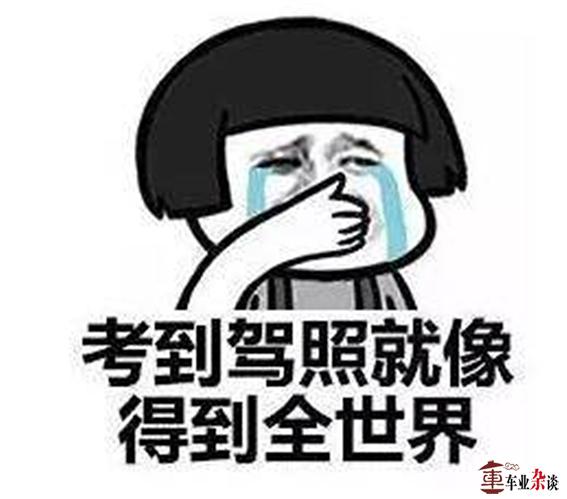 驾考新规将至，它是画蛇添足还是画龙点睛？