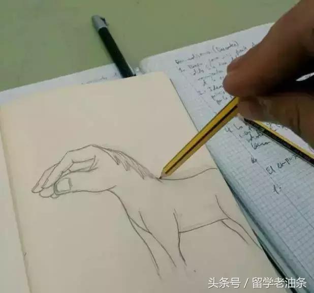 职高去意大利留学要学意大利语吗,去意大利留学只学语言