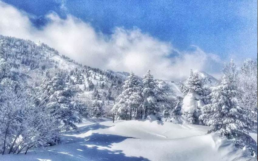 日本有田旅游攻略,去日本长野县自由行