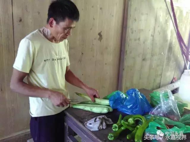 养鸡养鸭养蜜蜂,养牛养羊养蜜蜂