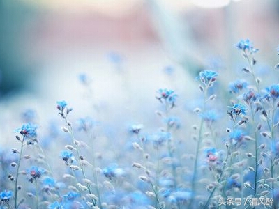 经典说说适合发朋友圈的句子简短,发朋友圈的个性签名句子