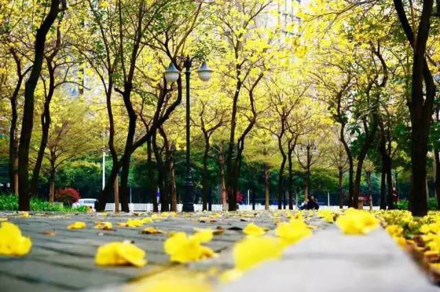 你好！我的名字叫惠州，这是我的名片