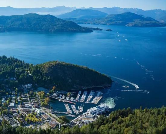 和海豚一起玩的地方,与海豚接触的地方