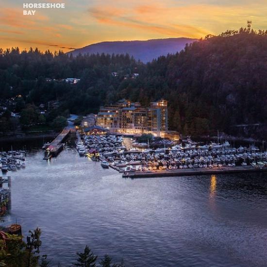 和海豚一起玩的地方,与海豚接触的地方