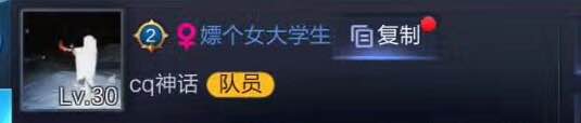 王者光荣最合适的情侣名,王者光荣比较骚气的情侣名