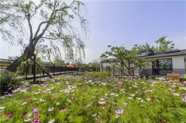 说走就走吧自驾环游,说走就走一起出发去旅行