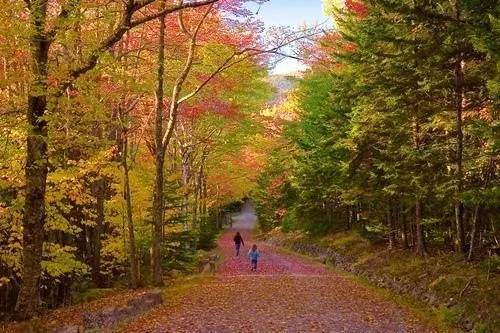 枫叶旅游拍照技巧,春季赏枫叶拍照技巧