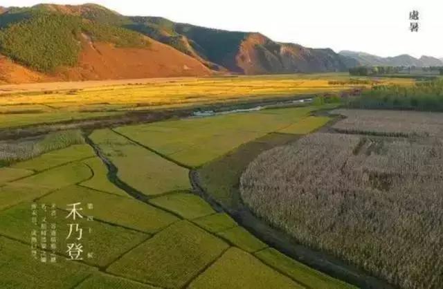 夏未央秋渐凉处暑,处暑夏未央秋意渐浓天渐凉
