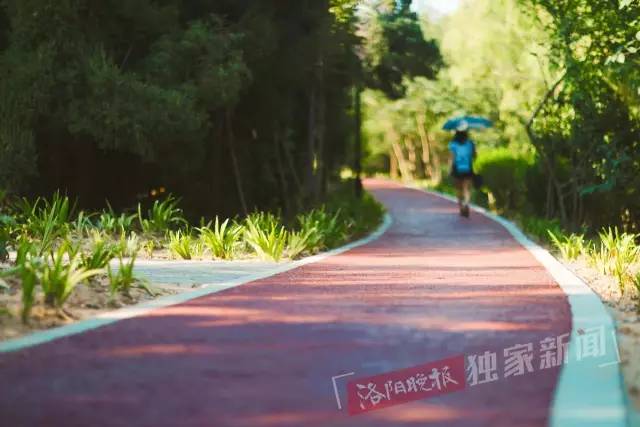 洛阳新开游园,洛阳很美的公园