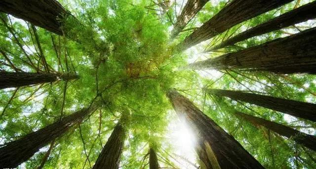 和龙夏天避暑的地方,龙州县避暑胜地