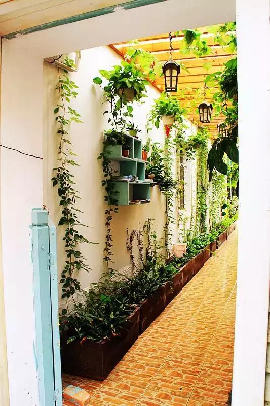 媲美鼓浪屿！深圳竟藏着一个文艺拍照圣地，海滨花火刷爆朋友圈！