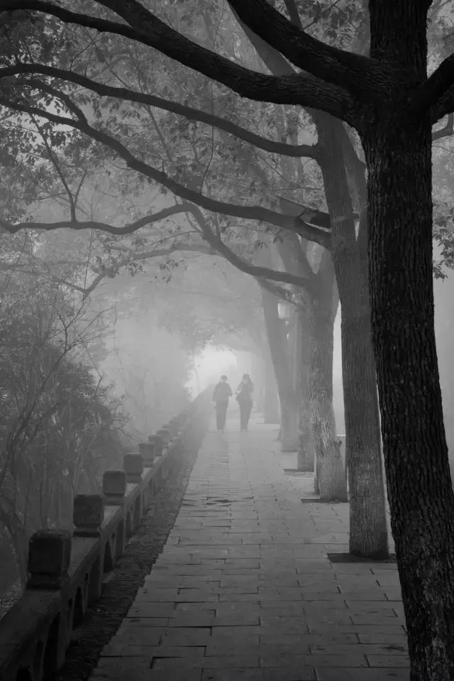 阅图是什么,阅图是什么意思