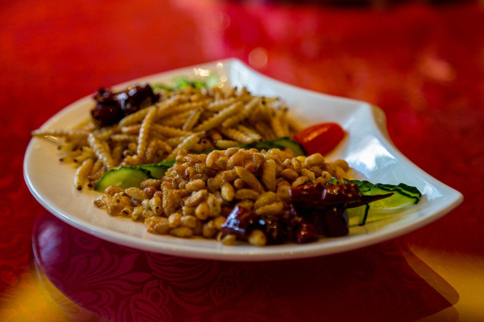 各种花样玩法大全,花样的玩法后续