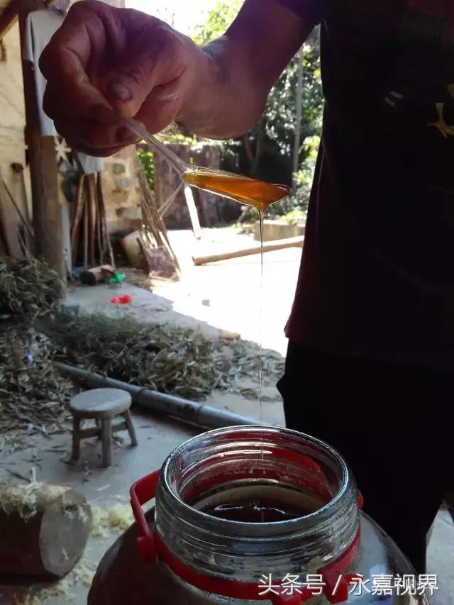 养鸡养鸭养蜜蜂,养牛养羊养蜜蜂