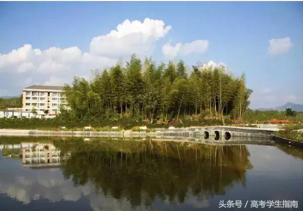 2017高考福建理科本科录取率,福建2017年高考水平在全国排名