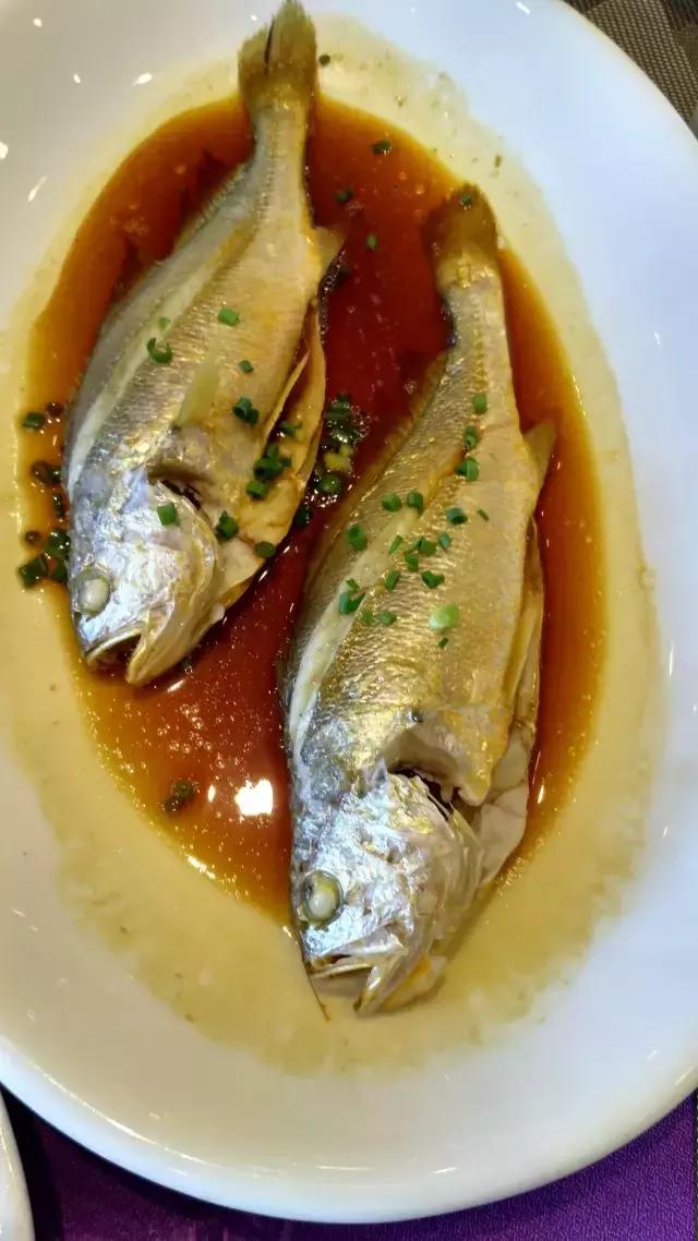 舟山朱家尖自驾游免费攻略,舟山旅游攻略自驾游朱家尖东沙岛