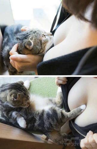 王楠微笑,王楠全程微笑享用比赛