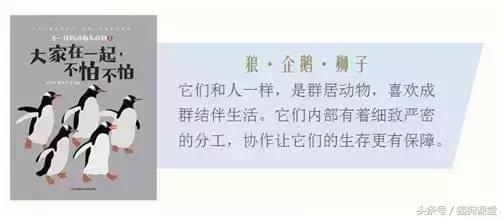 在动物园如何给孩子科普动物知识,7-12岁儿童动物世界科普