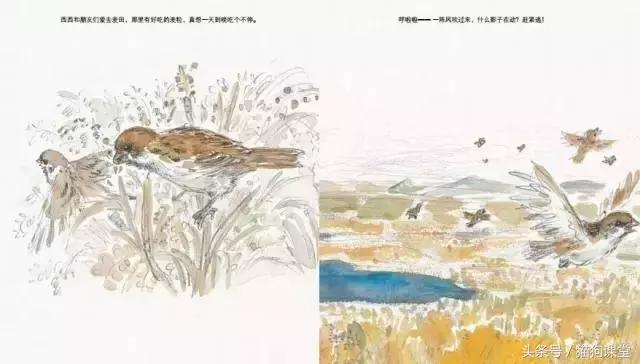 在动物园如何给孩子科普动物知识,7-12岁儿童动物世界科普