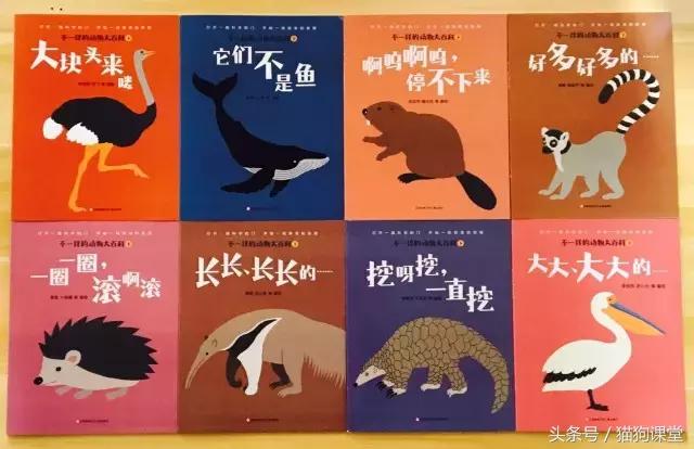 在动物园如何给孩子科普动物知识,7-12岁儿童动物世界科普