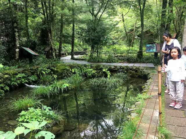 北纬30°神秘之境，在高山草甸、追逐鹿群，这里美的像天堂！