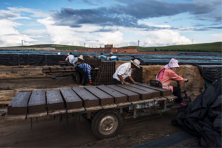 近距离了解砖窑厂烧制砖块的秘密