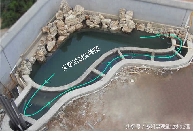 帆布池也能养好锦鲤,水池里怎样养好锦鲤