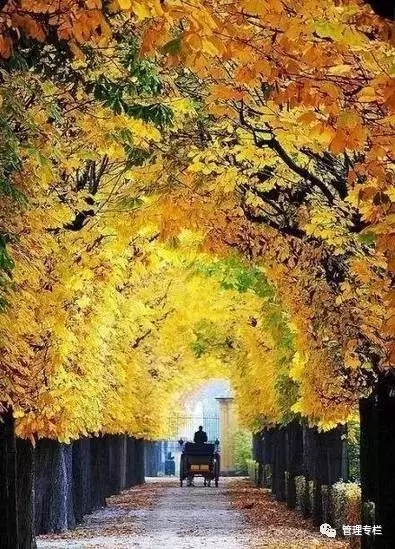 厚黑学目的是让人厚道还是厚黑,厚黑学五个厚黑秘诀