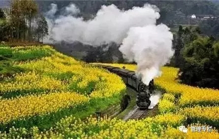 厚黑学目的是让人厚道还是厚黑,厚黑学五个厚黑秘诀