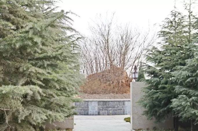 春蚕到死丝方尽用来赞美什么,春蚕到死丝方尽蜡炬成灰泪难干