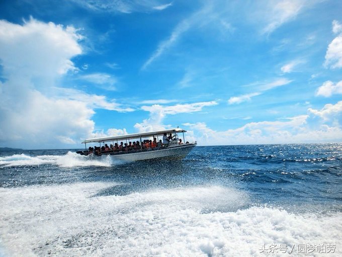 帕劳自由行旅行,帕劳自由行哪里最好玩