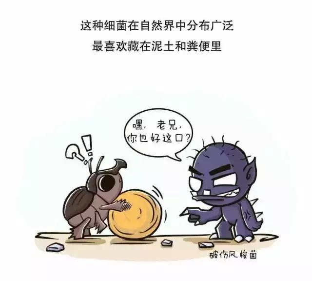 破伤风动画讲解,破伤风治疗图片动画