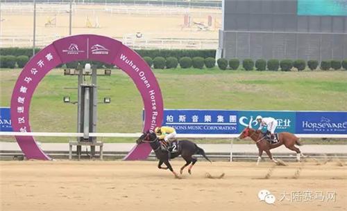 武汉赛马比赛时间表,武汉速度赛马公开赛入场时间