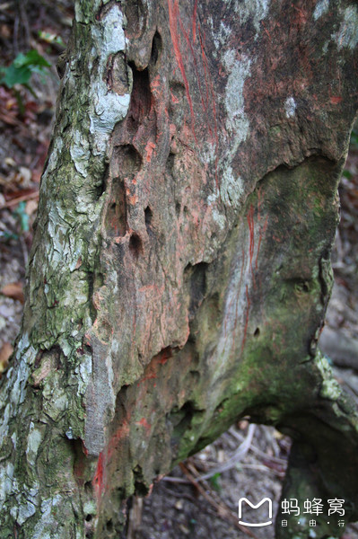 一起去三亚旅游就是最好的陪伴,三亚攻略自由行情侣
